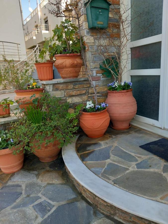 Poly'S Cozy Home Golos Dış mekan fotoğraf